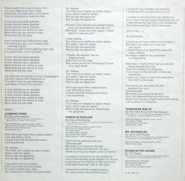 Demon In Disguise - secondary