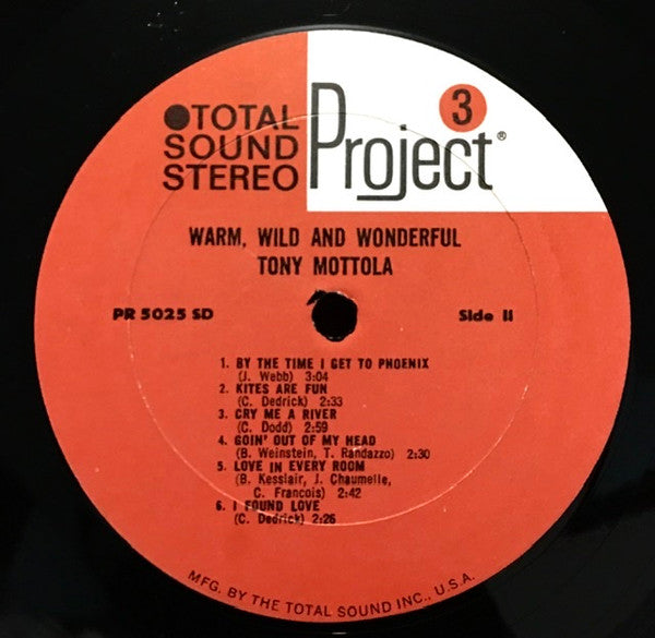 Tony Mottola, The Groovies - Warm, Wild & Wonderful