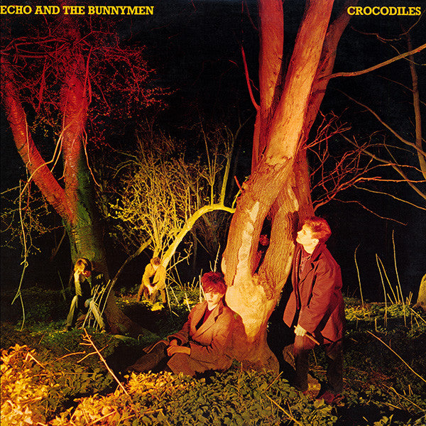 Crocodiles - primary