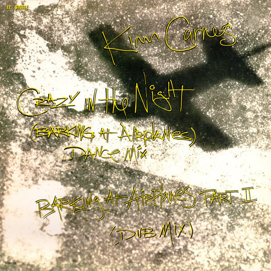 Crazy In The Night (Barking At Airplanes) - primary