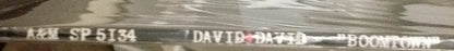 David + David - Boomtown