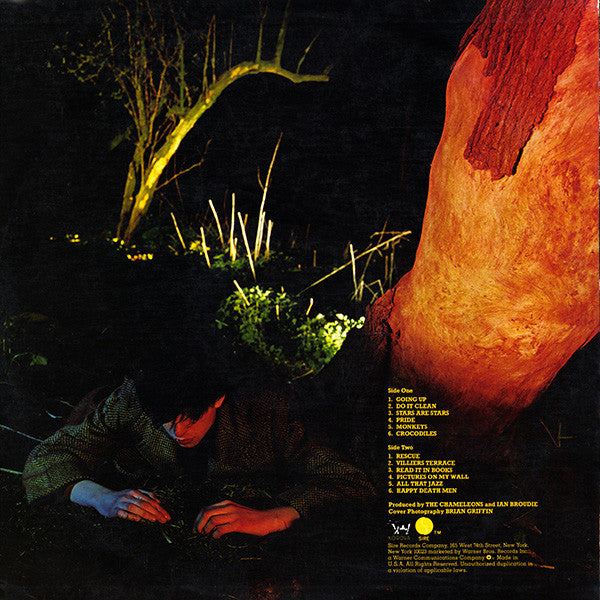 Crocodiles - secondary