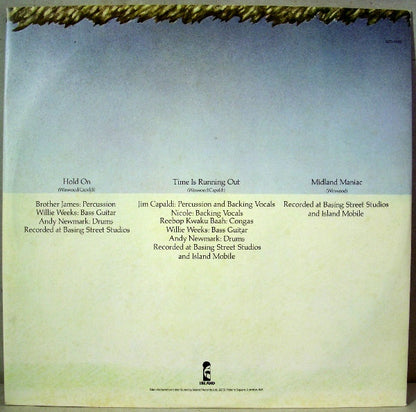 Steve Winwood - Steve Winwood