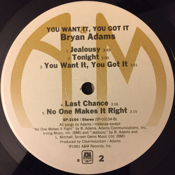 Bryan Adams - You Want It, You Got It