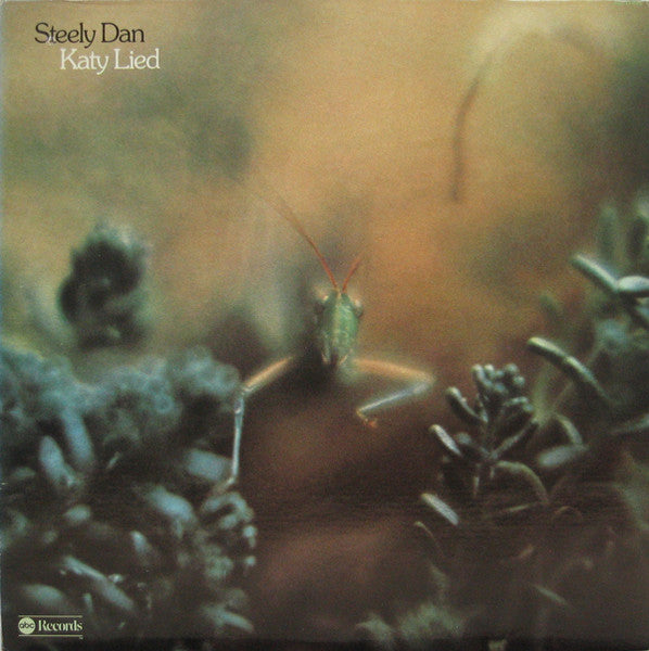 Katy Lied - primary