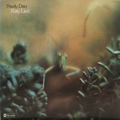 Katy Lied - primary
