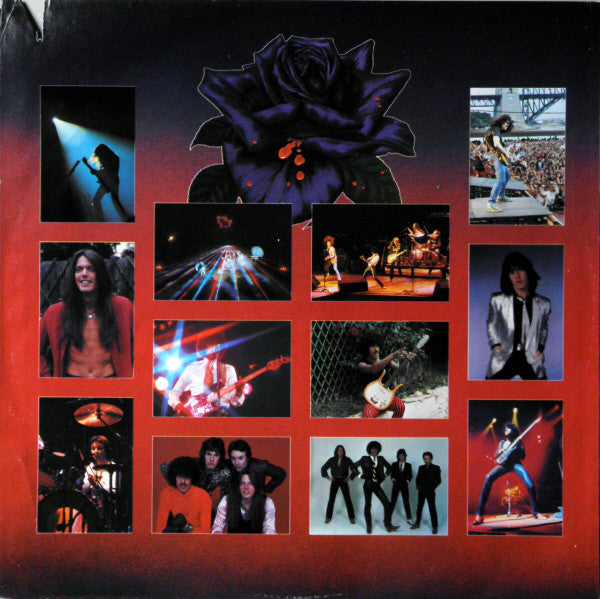 Black Rose (A Rock Legend) - secondary