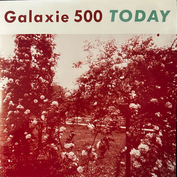 Today - primary