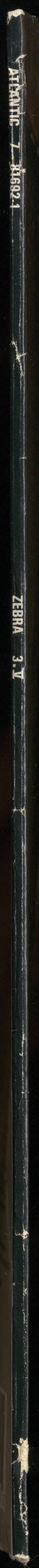 Zebra - 3.V