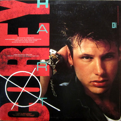 Boy In The Box - secondary