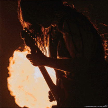 Hit Me Hard And Soft: The Tour (Live) - secondary