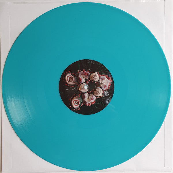 Fossora - secondary