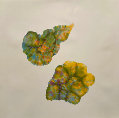 Islands - secondary