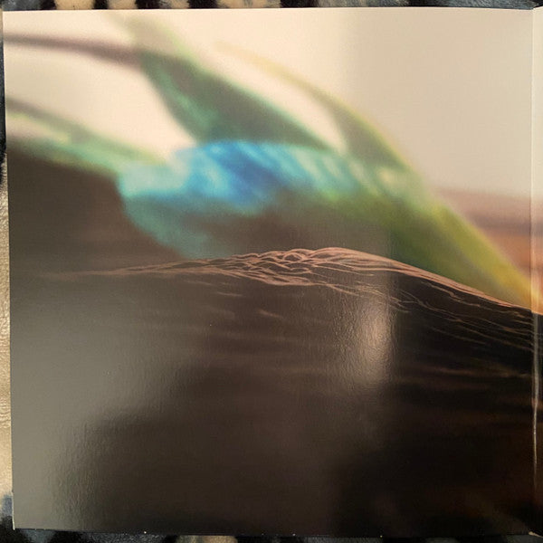 The Little Mermaid - secondary