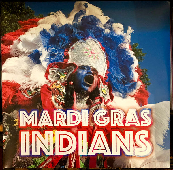Mardi Gras Indians - primary