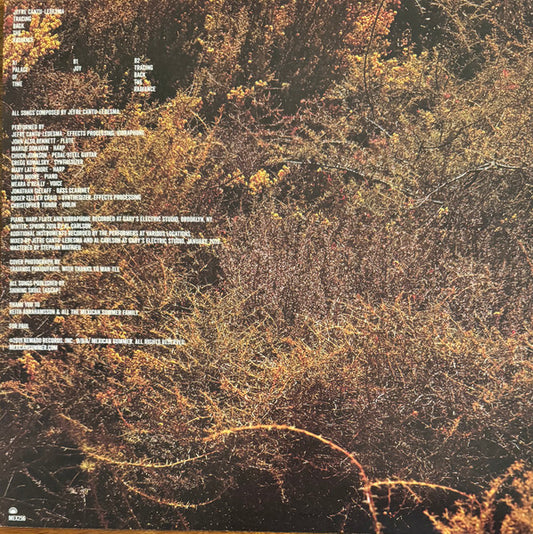 Tracing Back The Radiance - secondary