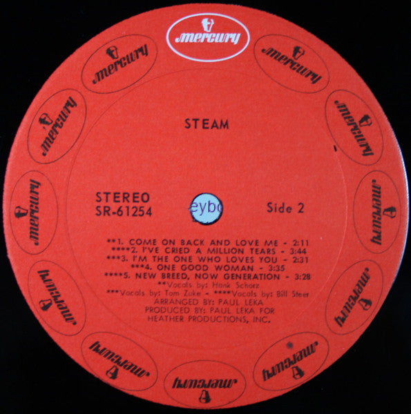 Steam - secondary