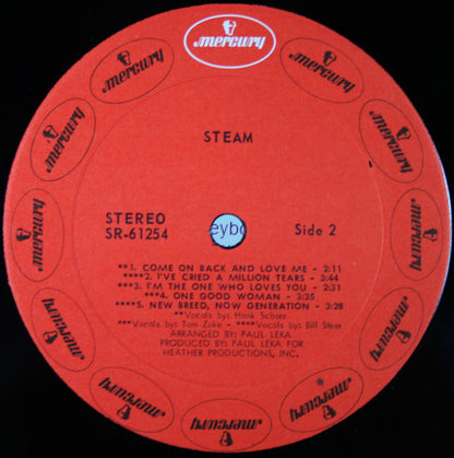 Steam - secondary