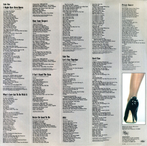 Private Dancer - secondary