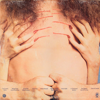 Cat Scratch Fever - secondary