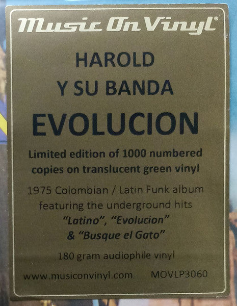 Evolucion - secondary
