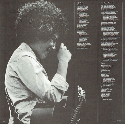 Janis Ian - Aftertones