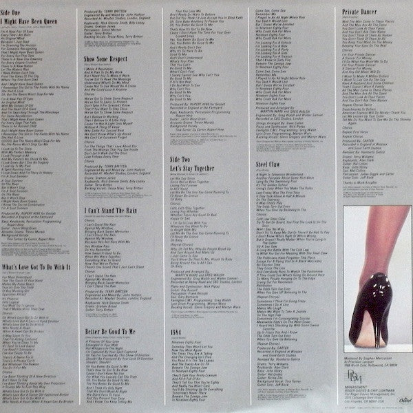 Tina Turner - Private Dancer