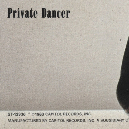 Tina Turner - Private Dancer