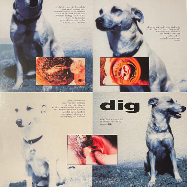 Dig - secondary