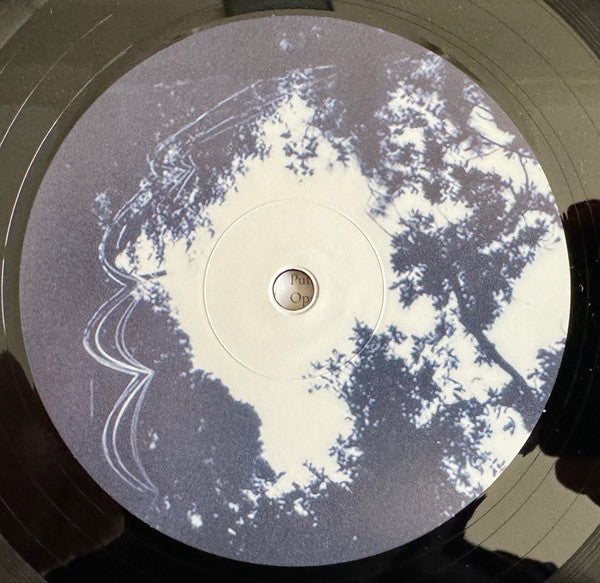 The Skies, They Shift Like Chords - secondary