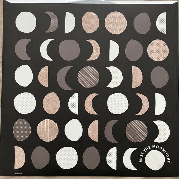 Meet The Moonlight - secondary