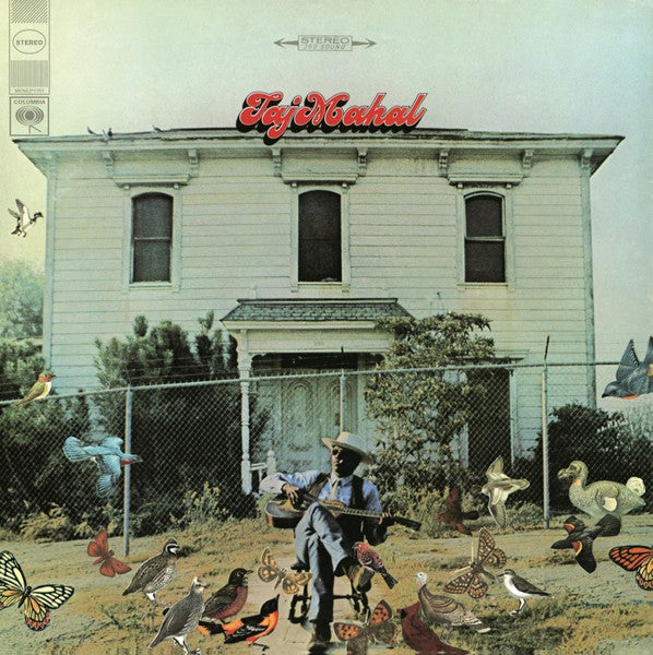 Taj Mahal - primary