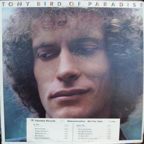 Bird Of Paradise - primary