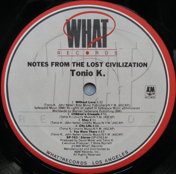 Notes From The Lost Civilization - secondary