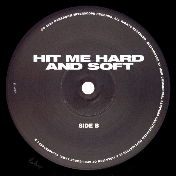 Hit Me Hard And Soft - secondary