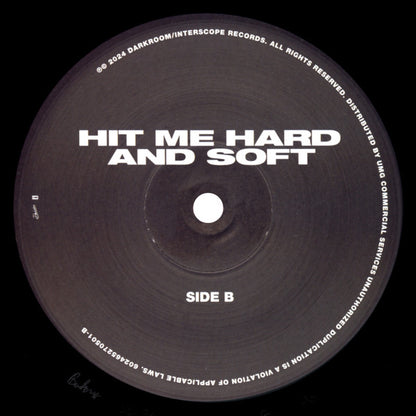 Hit Me Hard And Soft - secondary