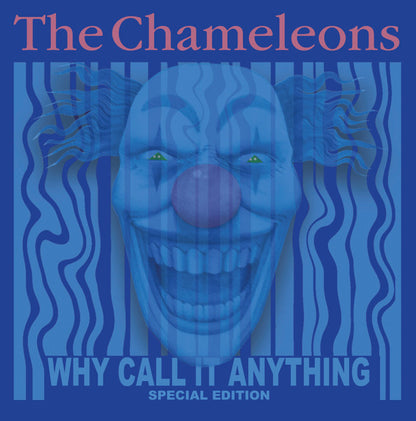 Why Call It Anything - primary