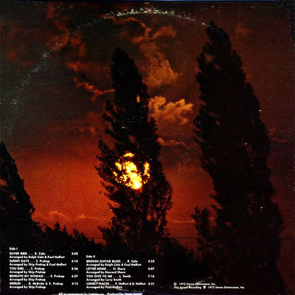 Sunny Days - secondary