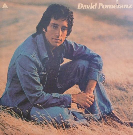 David Pomeranz - It's In Everyone Of Us