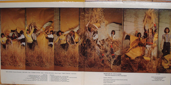 More Golden Grass - secondary