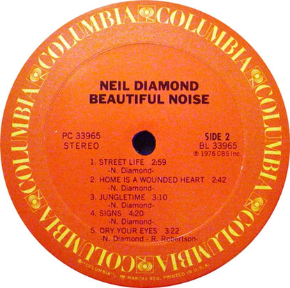 Beautiful Noise - secondary