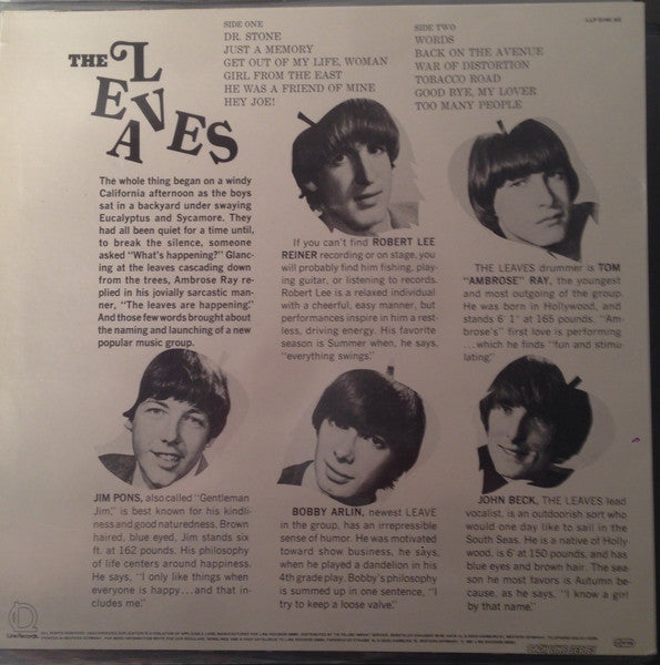 Hey Joe - secondary