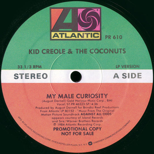 My Male Curiosity - primary
