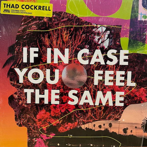 If In Case You Feel The Same - primary