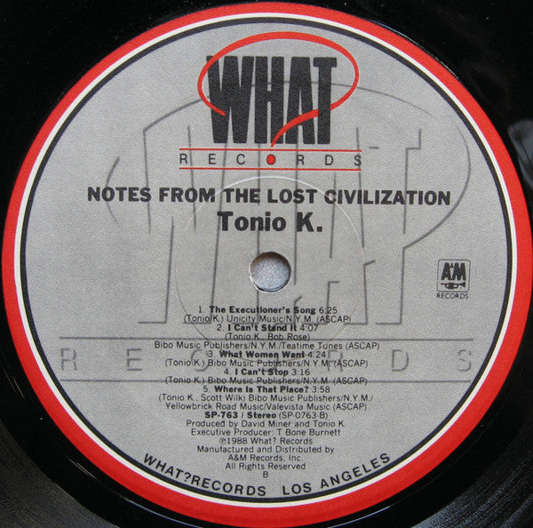 Notes From The Lost Civilization - secondary