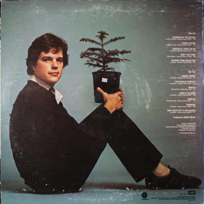 Chewing Pine - secondary