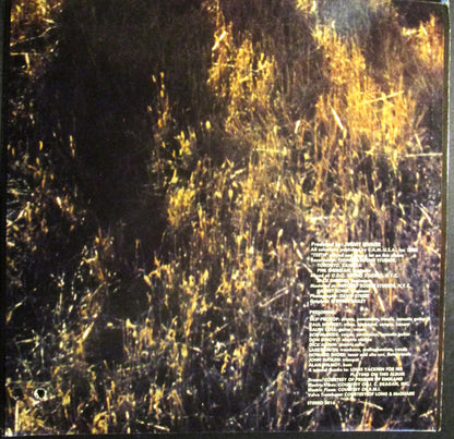 Sunny Days - secondary
