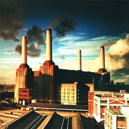 Animals - primary