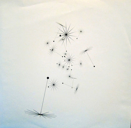 Magpie And The Dandelion - secondary