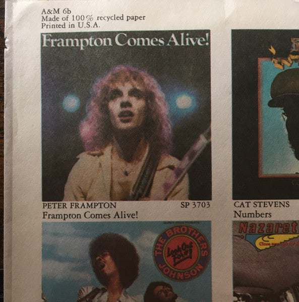 Night After Night - secondary